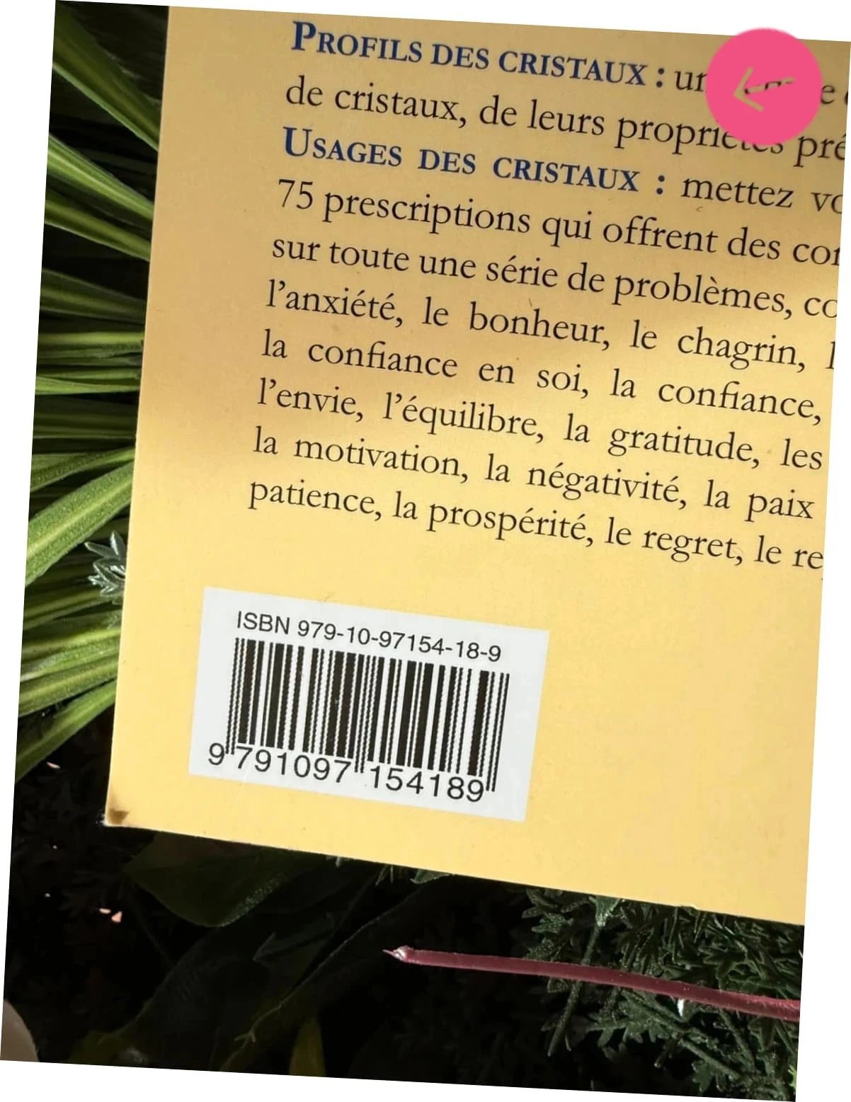 Livre les cristaux pour débutant – photo 5